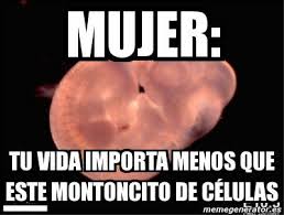 Más sobre el aborto y mucho cabreo (3 memes) | Memes Feministas