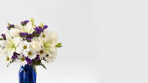 Check spelling or type a new query. Shop Sympathy Delivery Ftd