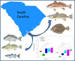 perfluoroalkyl substances pfass in edible fish species