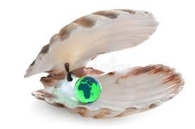 You can also roast the larger king oyster mushrooms with oil and chicken stock for a rich flavor. World Your Oyster Photos Free Royalty Free Stock Photos From Dreamstime