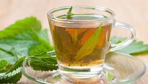 We did not find results for: Stinging Nettle Facts And Health Benefits