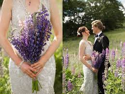 Maybe you would like to learn more about one of these? Image Result For Lupine Wedding Bouquet Maine Wedding Photographer Maine Wedding Wedding Bouqet
