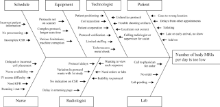 Fishbone Diagram Created For Cause And Effect Analysis Shows