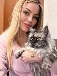 Cute Kitten Photo and Responsible Pet Ownership