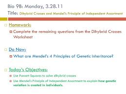 Chapter 10 dihybrid cross worksheet answers key : Ppt Bio 9b Tuesday 3 22 11 Title Introduction To Genetic Inheritance And Variation Powerpoint Presentation Id 2874695