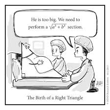 Off The Number Line Birth Of A Right Triangle Math Cartoons Math Humor Math Jokes