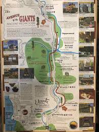 Driving from one end of the park to the along the way there is so much to see and do! 23 Magical Things To Do In Redwood National Park