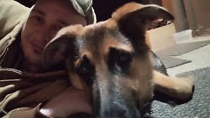 Fundraiser by Keith Lusk : Support Bubba and Archer's New Start