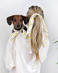 Matching Silk Bandana Scarves For Dogs And People By Dog Threads Dog Threads Dog Photoshoot Girl And Dog Stylish Dogs