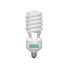 They were invented late in the 20th century and much used after the turn of the century (after 2000). Greenlite 55w 2700k Cfl Light Bulb Hog Slat