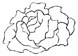 În cel mai rău caz, verifică produsele cu. Https Gradinitacasutacupovesticraiova Ro Wp Content Uploads 2020 05 Legume Timpurii Ed Bartagui Cristina Pdf