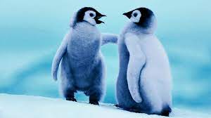 Now, turn the penguin over, white side down. Cute Baby Penguin Wallpapers Top Free Cute Baby Penguin Backgrounds Wallpaperaccess