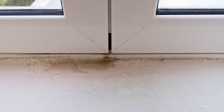 Pest control and crawlspace contractors, pest control, crawlspace, rodent, birds, possum, insects, aunts, roaches, exterminator, pest control orange county as a one stop solution source we offer the full gamut of professional services: Moisture Prevention Winston Salem Nc Brown Pest Control