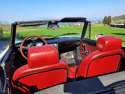 Image result for Avorio 1982 Alfa-Romeo