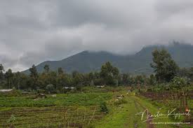 | rwanda is known as le rwanda is known as le pays des mille collines (land of a thousand hills) thanks to the endless. Landscape