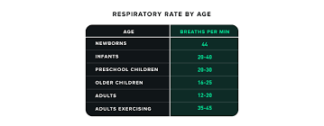 Image result for Respiratory Rate