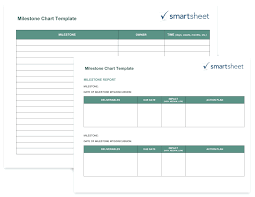 Contingency Nning In Project Management Ppt N Risk Template