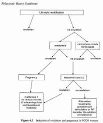 The Pcos Factor Ttc Flow Chart Back On The Metformin Wagon