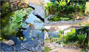 Bina satu jadual dan rekodkan semua data yang dikumpul daripada eksperimen ini. Atas Permintaan Ibu Lelaki Ini Hasilkan Landskap Kolam Ikan Sendiri Dengan Bajet Rm2 Ribu