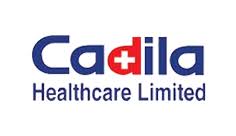 CADILA-HEALTHCARE-LTD – Kingsley Engineering Services | Breather Valve, Safety valve, Emergency vent, Flame arrester, Foam chamber, Gauge hatch.