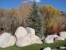 Maybe you would like to learn more about one of these? 5 Gunstige Fluge Nach Aspen Colorado Ase Billigflug Nach Aspen Tripadvisor