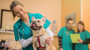 As with human health insurance, the younger the insured is, the lower the rates. Why Should You Consider Pet Medical Insurance State Farm