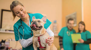 Spot plans offer thousands in coverage with options starting at less treatment for the purpose of avoiding an illness or injury or for the promotion of general health, where there is no underlying illness, injury, or symptoms. Why Should You Consider Pet Medical Insurance State Farm