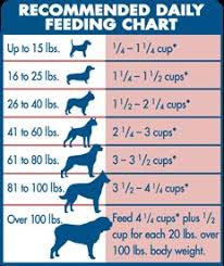 German Shepherd Puppy Online Charts Collection