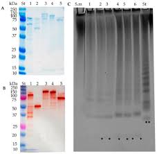 Marine Drugs Special Issue Marine Enzymes Sources Biochemistry And Bioprocesses For Marine Biotechnology