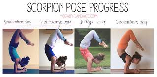 Ybc Community Project Report Flexibility Yoga Motivation Yoga Inspiration Motivation Teacher Favorite Things