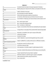Students define an invertebrate animal, identify which animals are part of the invertebrate group and identify which is the largest group of invertebrate animals. Pin On Invertebrate Zoology Quizzes Or Worksheets For Invertebrate Zoology Teachers