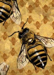 Bee Pathfinder Card By Felixxkatt On Deviantart Bee Bee Art Bee Illustration