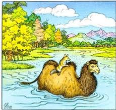 See more ideas about moral stories, morals, stories. Moral Short Stories For Kids Jackal And The Camel Short Story