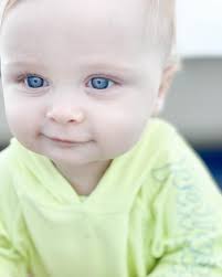 Noble Family Farms 2022 🍂🍁