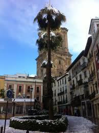 Plaza De La Romanilla Nevada Con El Campanario De La Catedral Al Fondo Ciudad De Granada Catedral Campanario