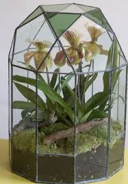Terrariums Beautiful Enclosed Gardens You Can Build At Home Orchid Terrarium Victorian Terrariums Orchids