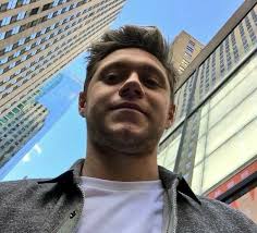 Niall Horan Selfies A Thread Harrystyles Niallhoran Louist91 Zayn Onedirection Liampayne Inza James Horan One Direction Niall Niall Horan