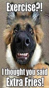 Hilarious animal pictures with captions are always very funny and great for a laugh. Pin By Lorrie Liden On Funny Funny Really Funny Animal Jokes Funny Animal Memes Cute Funny Animals