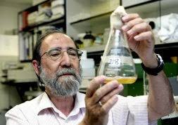 Los investigadores españoles figuran entre los científicos que más  artículos firman