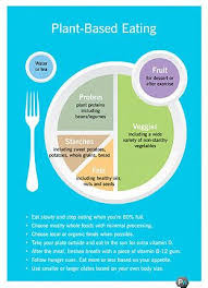 Livestrong Com Simple Healthy Living Plant Based Nutrition Plant Based Diet Plant Based Eating