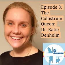 Vet the Unexpected (podcast)