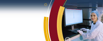 Research & Development – C V Raman Global University