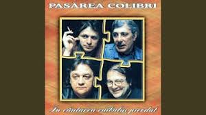 She is often considered the best female rock vocalist and one of the most important figures of the local romanian music scene. Chords For Nu I Nimic Asta E