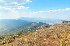 The site owner hides the web page description. å¤§å¸½å±±è¡Œå±±è·¯ç·š å…¨æ¸¯æœ€é«˜å³°è³žèŠ'è‰é›²æµ·