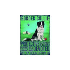 Border Collie Hanging Metal Sign 23645 Signs Plaques Animals Dogs Cats Gainsborough Giftware Ltd