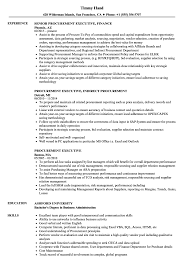 Procurement Executive Resume Samples Velvet Jobs