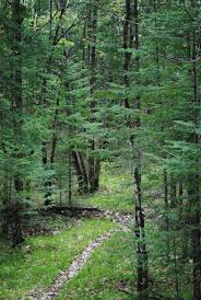Sandstone outcroppings, rolling hillsides, prairies, and forested ravines mark the trail in this area. Ice Age Trail Wikipedia