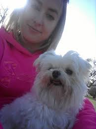 Lost male Maltese, 2 years old, around Plain View area