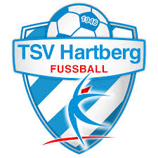 Colorful foot logo design template. Austria Football Logos