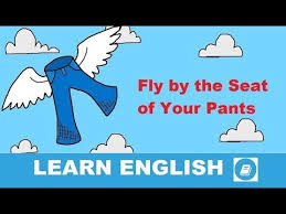 Fly By The Seat Of Your Pants English Idiom Idioms And Phrases English Idioms Idioms